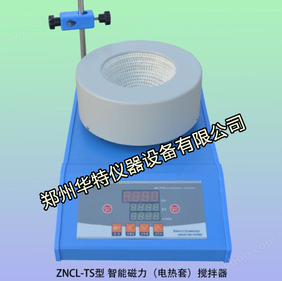 ZNCL-TS 100ML 智能数显磁力（电热套）搅拌器