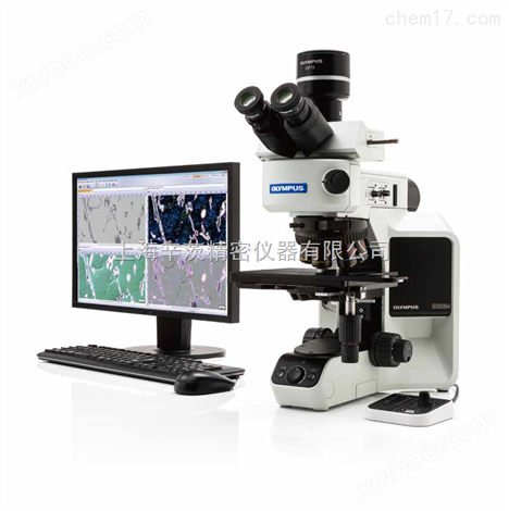 OLYMPUS奥林巴斯BX53P偏光显微镜