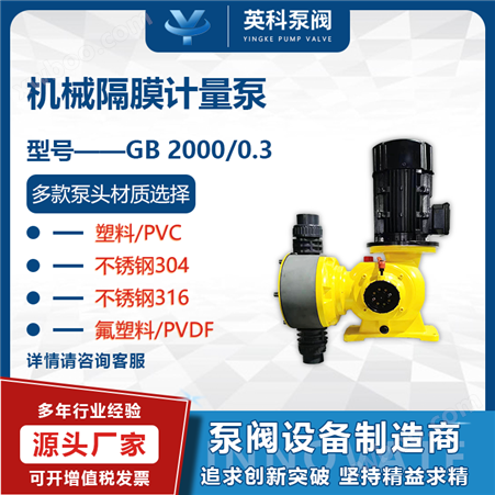 GB2000/0.3乙酸钠加药泵