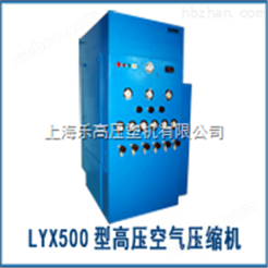 LYX500T30新型天然气压缩机优惠