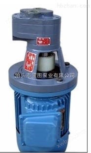 KCG,2CG高温齿轮泵批发零售哪家好找宝图泵业