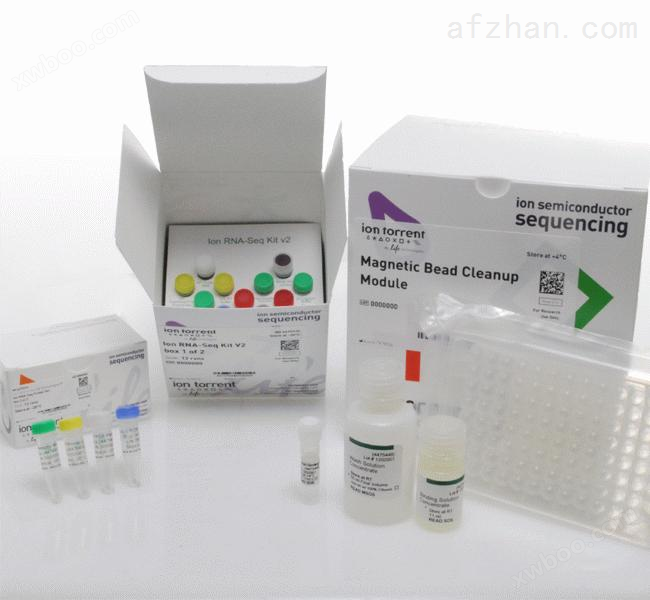 核黄素转运因子2（RFT2）ELISA试剂盒