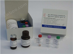 小鼠抗肌内膜抗体IgA（EMA IgA）ELISA试剂盒