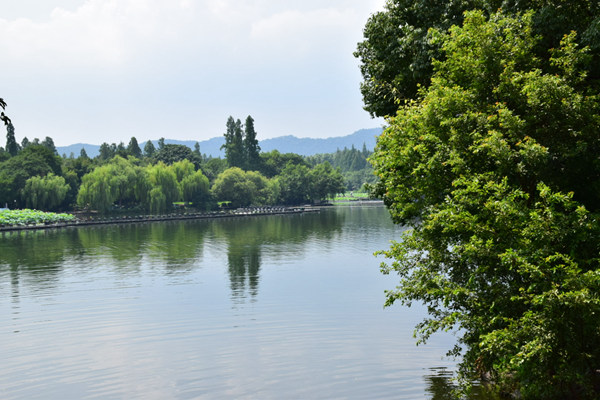 吉林局实地调研行业重点工作情况