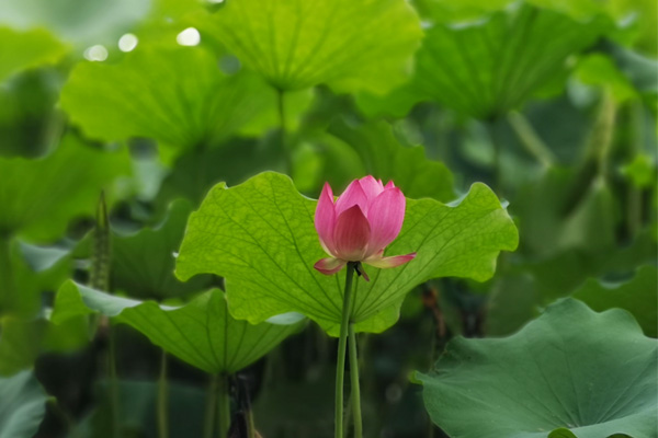 湖北局召开全省行业重点工作调度会