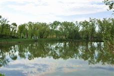 双星闪耀！邓州与商水跻身国家级纺织服装集群，共织河南产业新图景